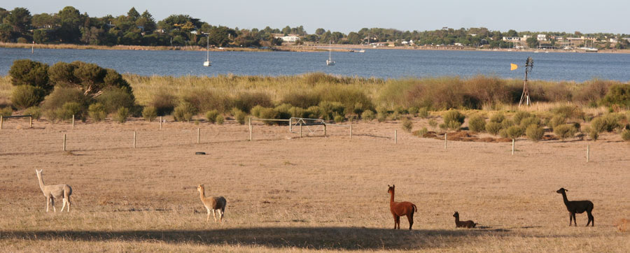 view of River Murray